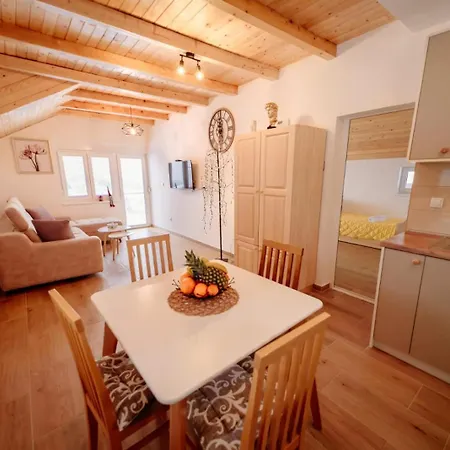 Apartman Sarovic Tara 3