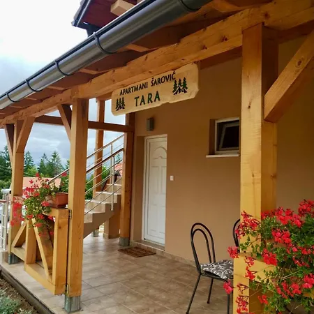 Apartman Sarovic Tara 3 Raca (Zlatibor)
